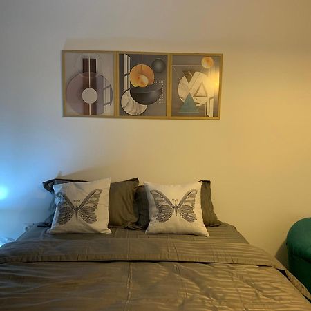 Conclavia Unu Apartman Medgyes Kültér fotó